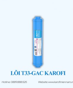 Lõi GAC-T33 - LÕI SỐ 5 - Ảnh 2