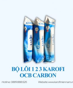 Bộ lõi lọc 1 2 3 OCB Karofi