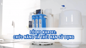 Lõi RO Karofi: Chức năng và thời hạn sử dụng