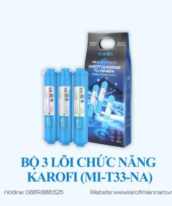 Bộ 3 lõi chức năng KAROFI (Mi-T33-Na)